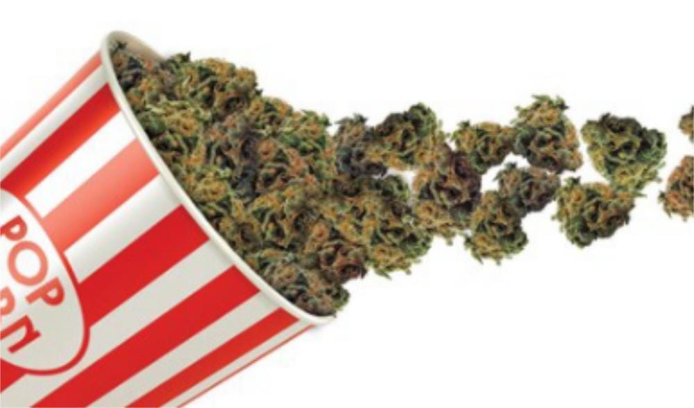 Sol Flower Durban Poison Cannabis for sale Phoenix AZ Sol Flower