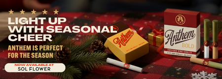 Anthem_Mobile_Banner (450 x 160)