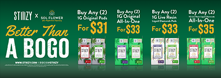 Stiiizy at Sol Flower