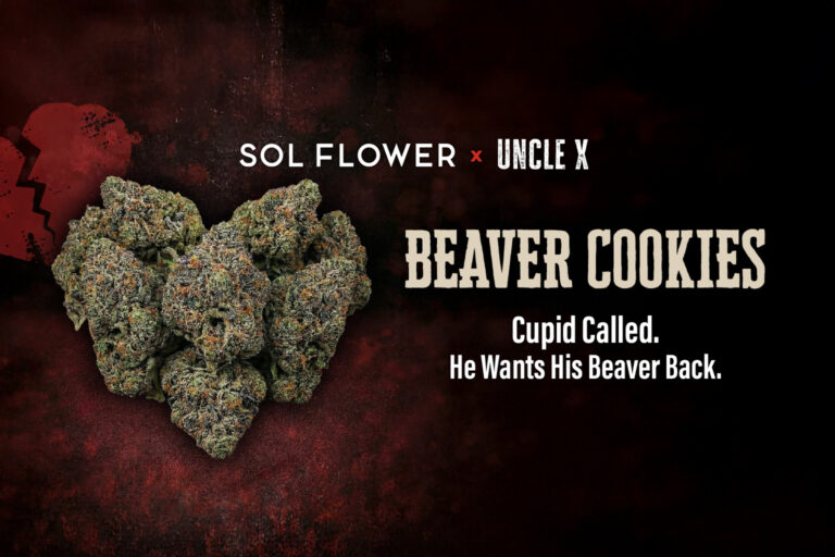 Beaver Cookies Flower Uncle X Sol Flower