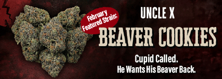 Uncle X Beaver Cookies Flower at Sol Flower Cannabis Dispensaries